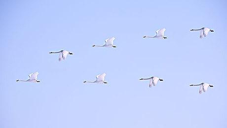 《堕落之主2》好身材新女角公布 官方让你取名字